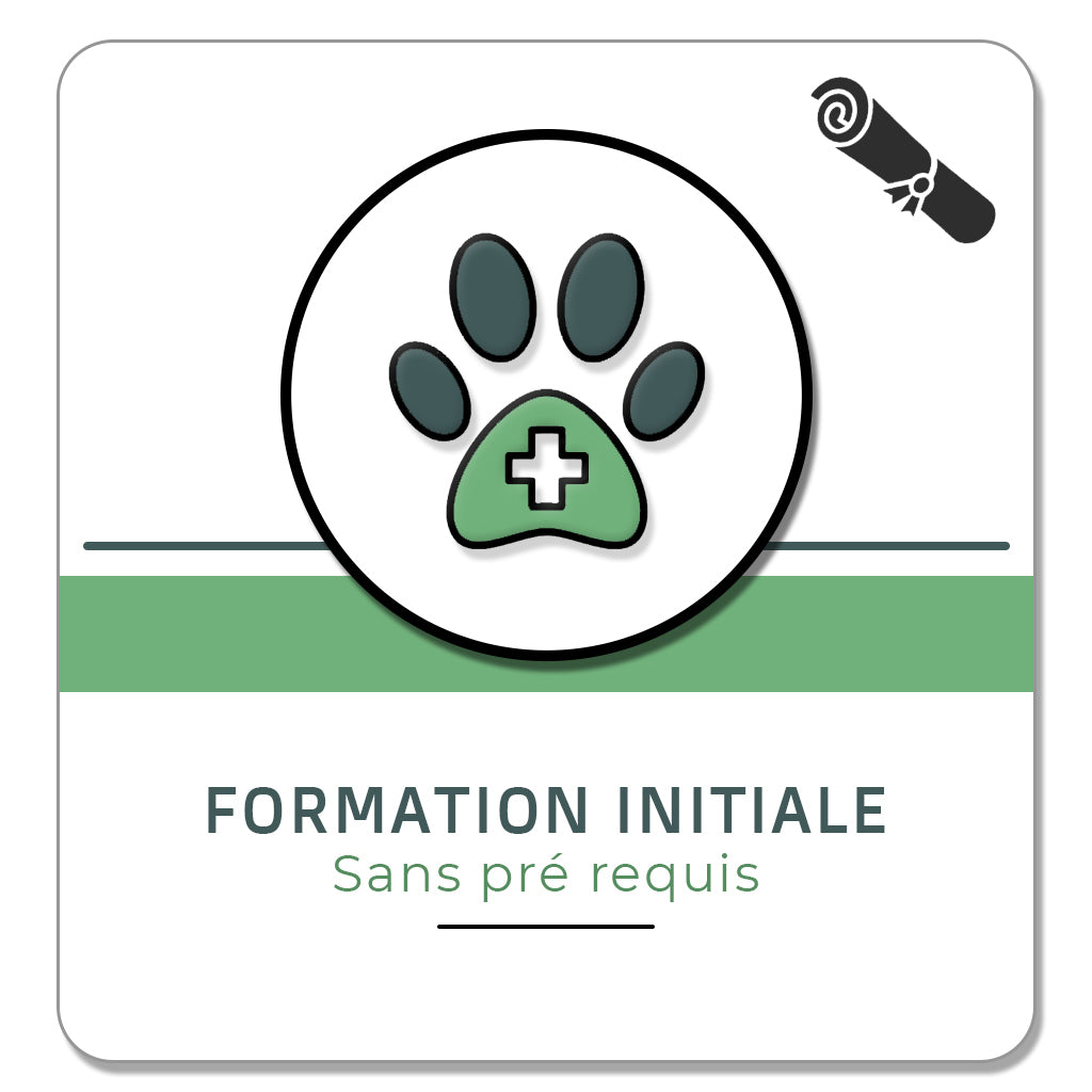 Formation réfléxologie animale - Initiale