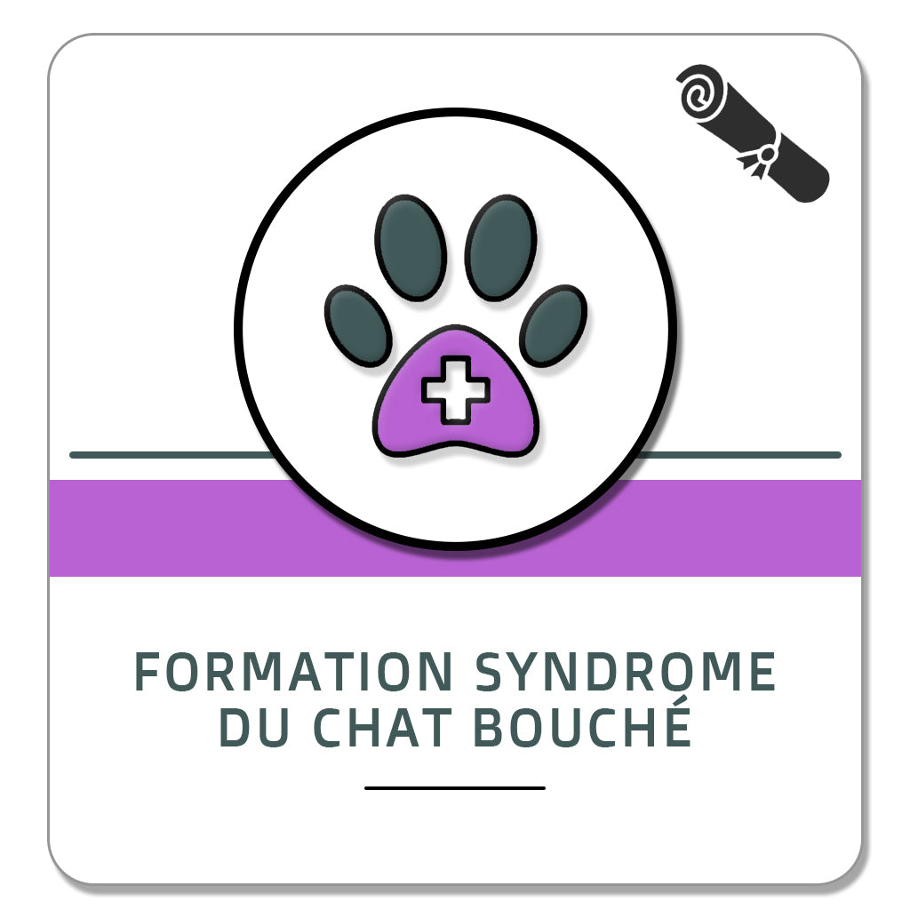 Formation syndrome du chat bouché