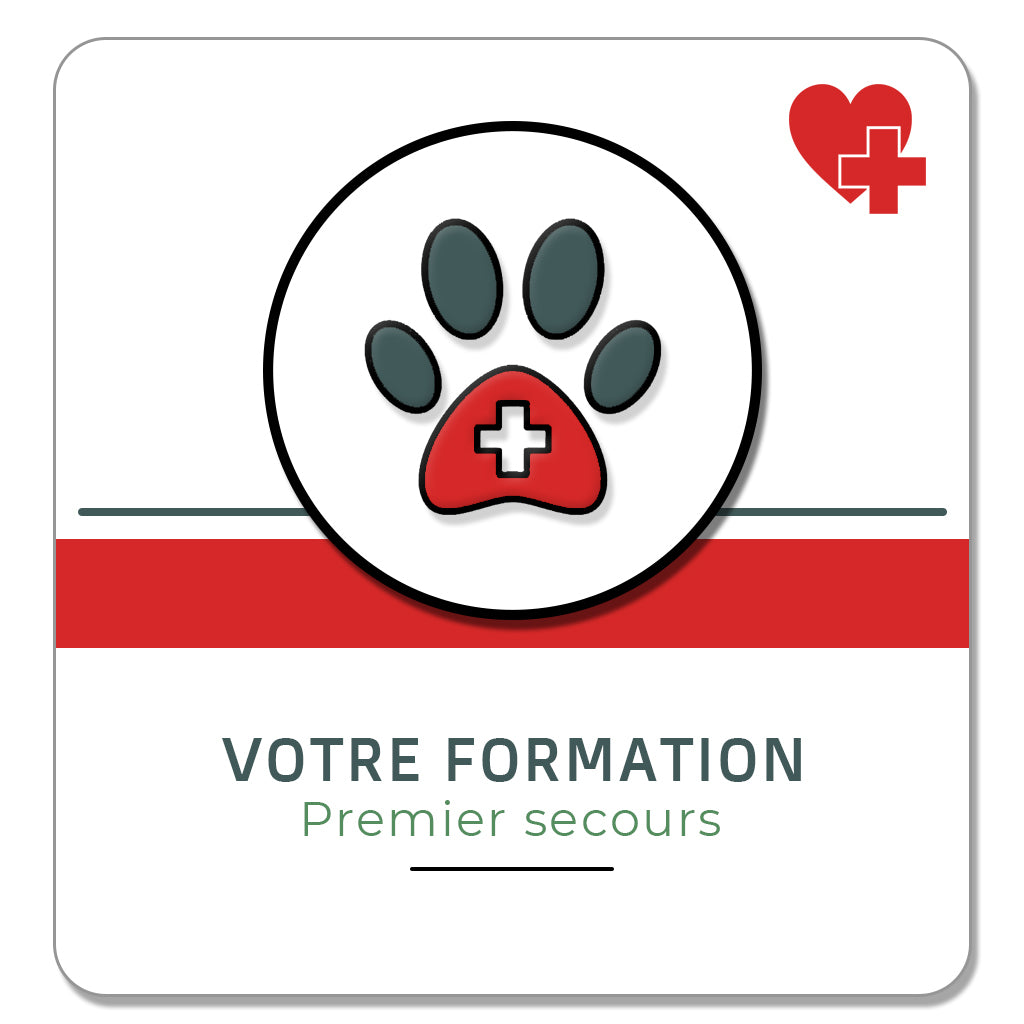 Formation 1er secours canin et félin