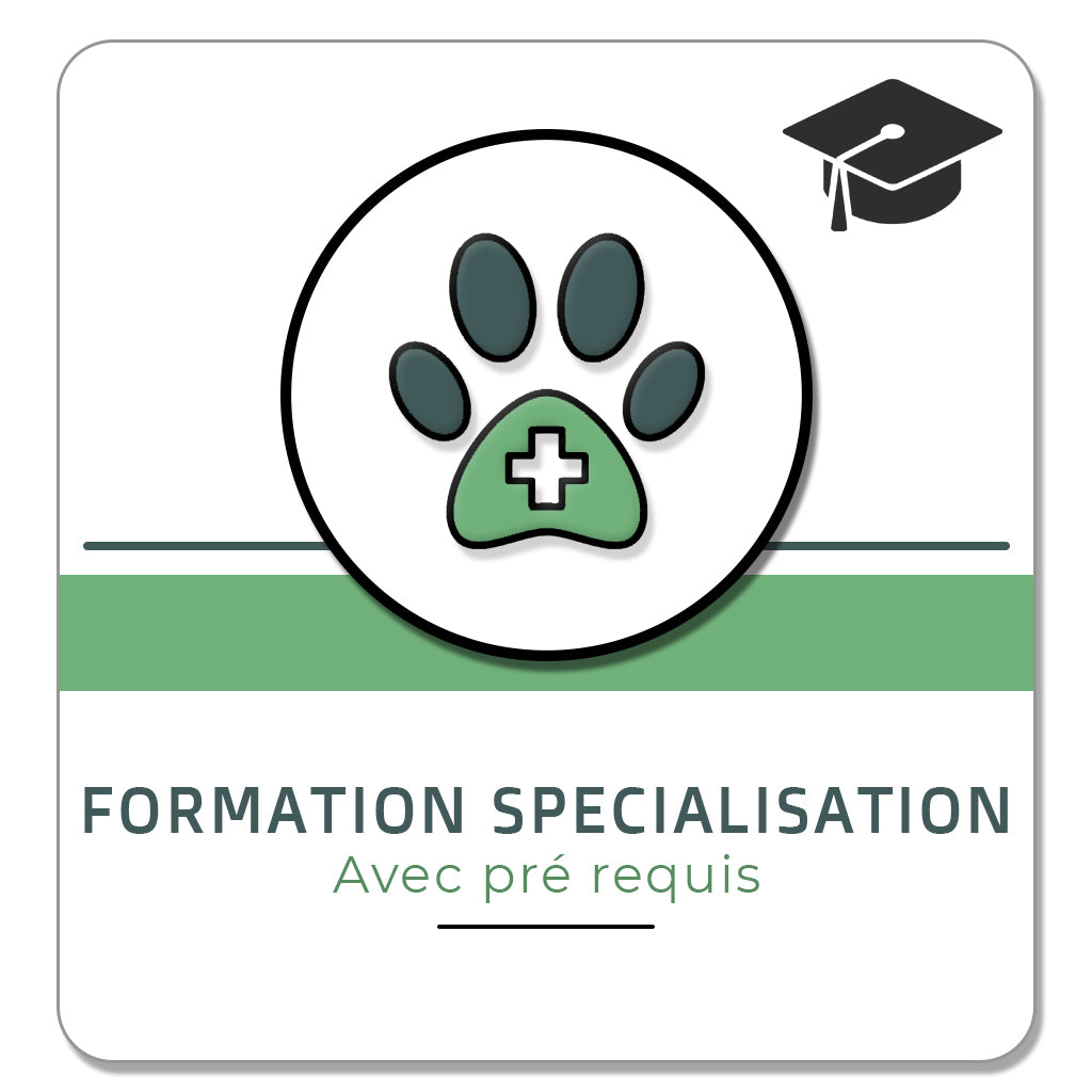 Formation Spécialisation Réflexologue