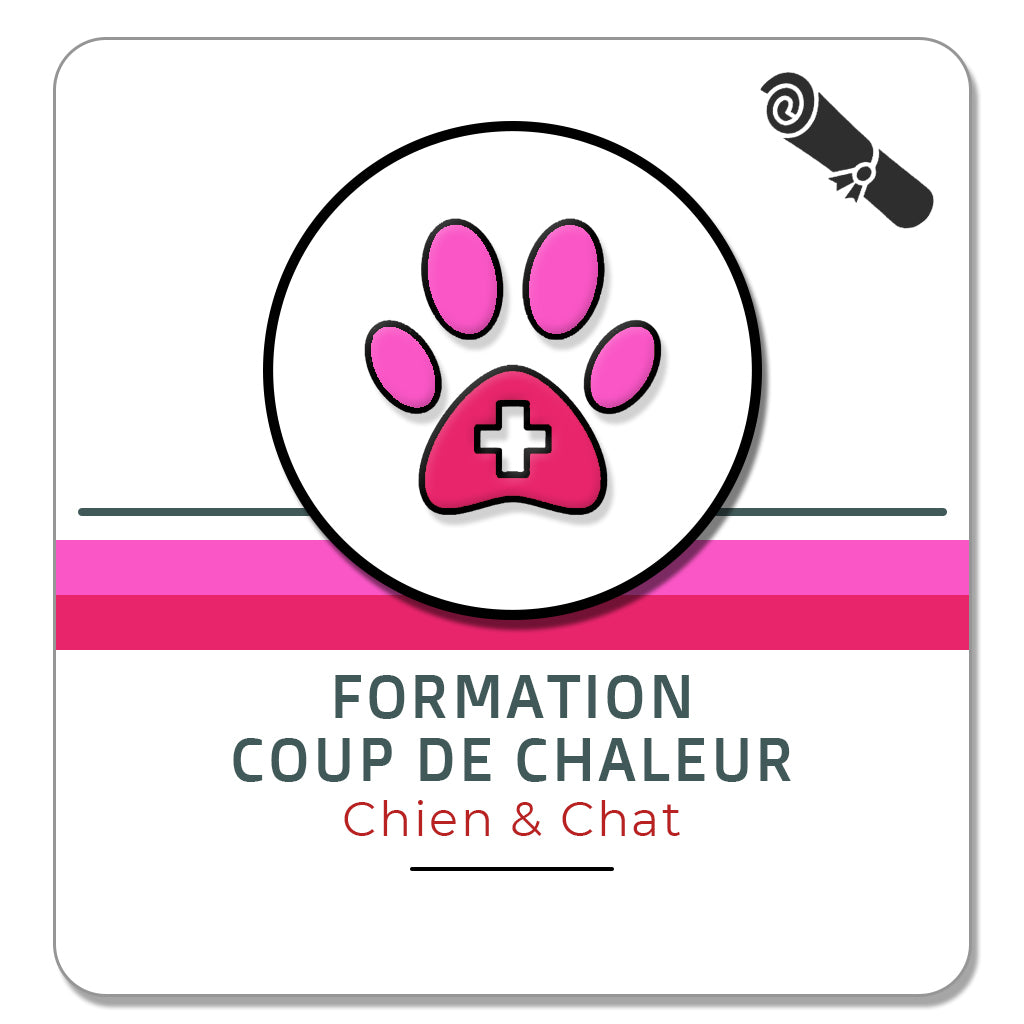 Formation coup de chaleur